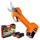 Pruning Shear Battery Powered, Kebtek Cordless Portable Electric Pruner with 2Pack 2Ah Rechargable Batteries -16.8V 25MM(0.98Inch) Cutting Diameter