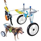 Adjustable Dog Wheelchair for Back Legs| Pet Wheelchairs with Disabled Hind Legs Walking|Stabel & Light Weight (7-Size) (XL)