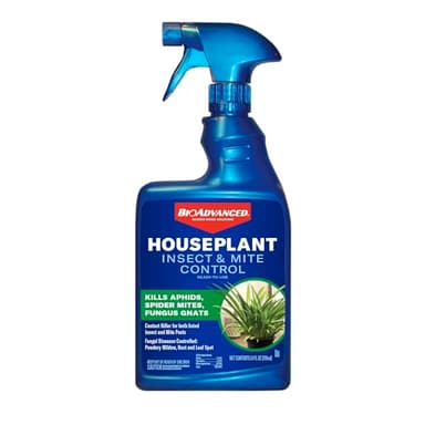 BioAdvanced Houseplant Insect & Mite Control, Ready-to-Use Fungul Disease & Fungus Gnats Killer, 24 oz