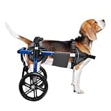 Virbraroo Dog Wheelchair for Back Legs with Upgraded All-Terrain Tires & Durable Bearings,Adjustable Dog Wheelchair for 11.8"-17.7" Lenght,22-35 lbs Disabled or Injured Small Dogs