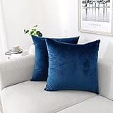 NiNi ALL Decorative Throw Pillow Covers Pack of 2 Velvet Throw Pillow Cases for Couch Pillows Cover Bedroom Living Room Outdoor Blue Pillow Covers 18x18 Inch