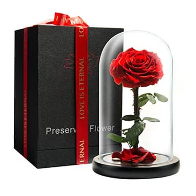 LOVAPPY Forever Preserved Rose - Eternal Rose in Glass Dome - Beauty and the Beast Rose - Mothers Day Gifts For Mom - Fresh Flowers in Glass (Red, 9 Inch)