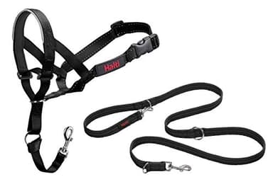 Halti Headcollar Size 3, Black & Halti Training Leash Size Large, Black Combination Pack - Stop Your Dog Pulling on the Leash. Adjustable, Lightweight with Padded Nose Band. Suitable for Medium Dogs
