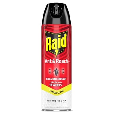 Raid Ant & Roach Killer Spray For Listed Bugs, Keeps Killing for 13 Weeks, Lemon Scent, 17.5 oz