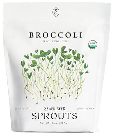 Organic Broccoli Sprout Seeds (8 oz) – Non-GMO, Heirloom Seeds for Sprouting and Microgreens