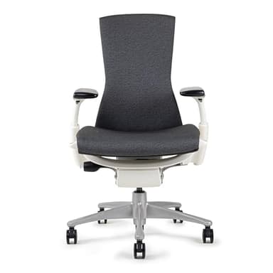 CHAIRORAMA Certified Refurbished Embody Gray Chair, Pixelated Support, Backfit Adjustment, Advanced Ergonomic Office Chair for Healthy Movement, Balanced Posture, 12-Year Warranty