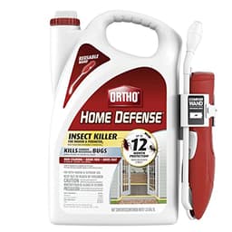 Our 10 Best Cicada Killer Insecticide for 2026 [US] | OneClearWinner.com