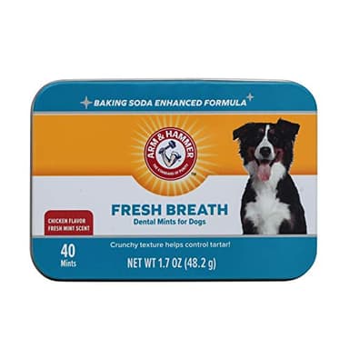Arm & Hammer for Pets Dog Dental Breath Mints with Baking Soda, Chicken Flavor Dental Treats to Help Freshen Dog Breath and Support Oral Care, Fresh Mint Scent, 1.7 Oz