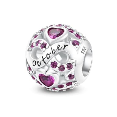 Aurevella Birthstone Charms 925 Sterling Silver Charms for Bracelets and Necklaces Anniversary Birthday Christmas Jewelry Gift for Women