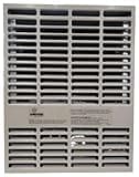 Empire DV210 Direct Vent Propane Space Heater 10,000 BTU's