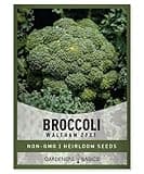 Gardeners Basics, Broccoli Seeds for Planting is A Great Heirloom, Non-GMO Vegetable Variety- 1 Gram Seeds Great for Outdoor Spring, Winter, and Fall Gardening