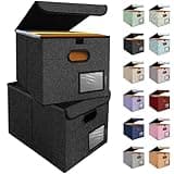 BALEINE File Organizer Box with Lid, Collapsible File Folder Organizer with Plastic Slide, Hanging File Folder Box for Office Document Storage (2 Pack, Black)