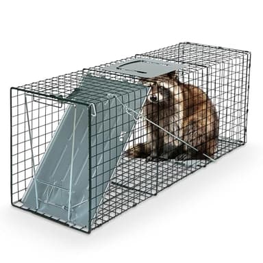 Humane Way Sentinel 32 Inch Live Animal Trap - No Assembly Required - Safe Medium Traps for All Animals - Raccoons, Cats, Groundhogs, Opossums - 32" L x 10.5" W x 12.5" H