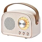 Aresrora Retro Bluetooth Speaker,Wireless Vintage Speaker,Outdoors Wireless Portable Bluetooth Speaker Supports TWS Pairing/U-Disk/TF Card/AUX for Home,Travel,Outdoor (White)