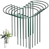 SORANGEUN 10 Pack Peony Cages and Supports, 10" (W) x 16"(H) Plant Support, Heavy-Duty Metal Plant Support Stakes, Plant Stakes for Outdoor & Indoor Plants, Perfect for Flowers and Vegetable