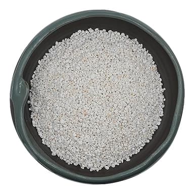 10QT Horticultural Perlite Bulk, Organic Perlite for Plants, Course Perlite for Gardening, for Plants Indoor, for Houseplants, to Promotes Soil Root Growth, and Water Drainage and Plant Growth(3-6mm)