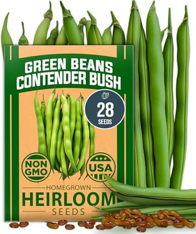 HOME GROWN Non GMO Contender Bush Bean Pack - 28 Heirloom Green Beans, Vegetable Seeds for Planting, Emergency Food Supply (Phaseolus vulgaris)