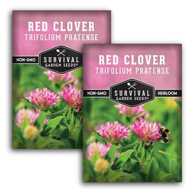 Red Clover Seeds for Planting – Nitrogen-Fixing Cover Crop & Ground Cover for Soil Building and Pollinators – Heirloom Non-GMO Medicinal Herb – Survival Garden Seeds (2 Packs)
