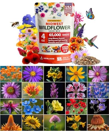 HOME GROWN 65,000+ Wildflower Seeds Heirloom Perennial Flower Seeds Mix for Attracting Bees Birds & Butterflies, High Germination (Midwest, 4 oz)