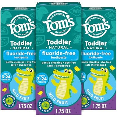 Tom's of Maine Fluoride-Free Toddler Training Toothpaste, Mild Fruit, 1.75 oz. 3-Pack (Packaging May Vary)