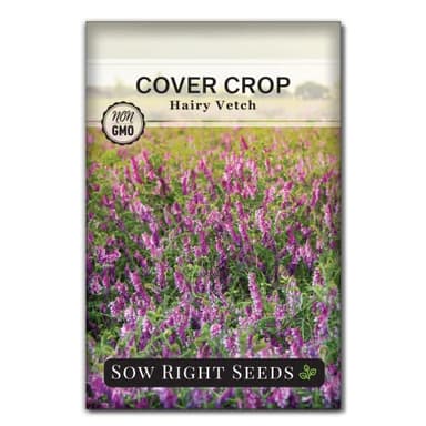Sow Right Seeds - Hairy Vetch Seed for Planting - Cover Crops to Plant in Your Home Vegetable Garden - Enriches Soil - Suppresses Weeds - Cold Hardy - Non-GMO Heirloom Seeds - Great Gardening Gift (1)