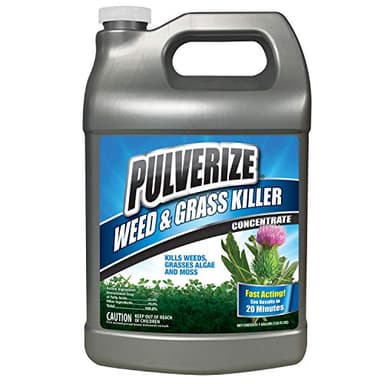 Pulverize Weed and Grass Killer, All Natural, Fast Acting, Non-Staining, Safe for People and Pets, Herbicide for Moss, Algae, Weeds, and Grass, Concentrate - 1 Gallon