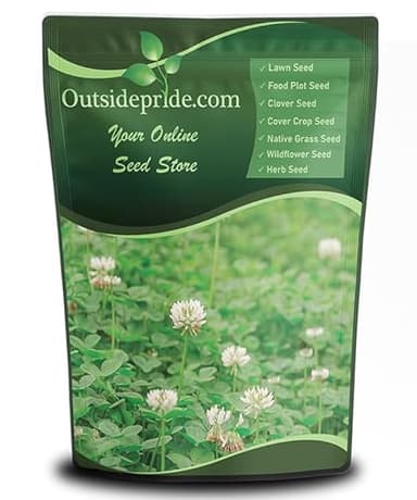 Outsidepride Perennial White Dutch Clover Seed - 2 lbs. Nitrocoated, Inoculated Clover Seeds for Lawn Alternative, Erosion Control, Food Plots, Ground Cover, & Pasture Mixtures in USDA Zones 3-10