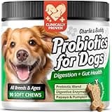 Charlie & Buddy Pet Probiotics for Dogs Aid Gut Flora, Dog Probiotics for Digestive Health with Digestive Enzymes, Pumpkin, and Papaya for Upset Stomach, 90 Soft Probiotic Chews for Dogs, Duck Flavor