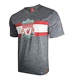 Icon Sports Officially Licensed Liverpool FC Soccer T-Shirt – Official LFC Team Jersey Style Athletic Football Tee – Game Day Activewear for Fans, XLarge