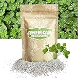 American Meadows Microclover Seed - Specially Blended Lawn Alternative, Low Maintenance, Great Ground Cover, Durable for High Traffic Areas, Drought Tolerant, Grass Alternative (1 lb.)