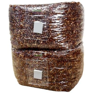 Zombie Mushrooms Premium 3lb Sterile Grain Bags 2-Pack | Pre-Hydrated Substrate with Self-Sealing Injection Port & Filter Patch | Mycology Growing & Inoculation Supply - Ready to Use