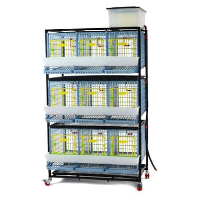 Chicken Cage - 3 Layer H: 15" (Power-Washable, Durable, PP Plastic (Polypropylene) | Hatching Time