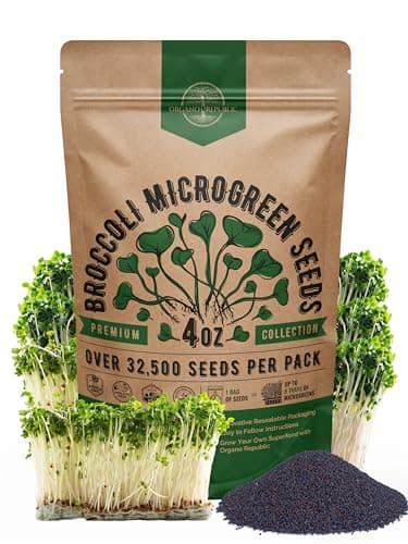 Organo Republic Broccoli Sprouting & Microgreens Seeds - 32,500 Non-GMO Heirloom Seeds, Sprouts in Bulk 4oz Resealable Bag for Planting & Growing in Soil, Coconut Coir, Aeroponic & Hydroponic System