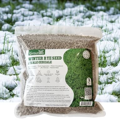 Groundio Winter Rye Seeds, 3lbs Non-GMO Cover Crop Seeds, Annual Secale Cereale to Plant for Lawn Alternative, Rye Grass Seed Grown in The USA
