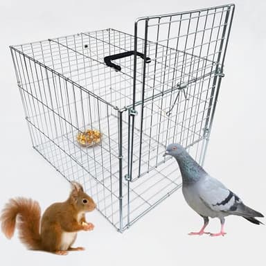 DSQSTMR Animal Trap Cage Pigeon Chicken Squirrel Chipmunk Outside Trapping Live Small Animal Bird Trap Cage