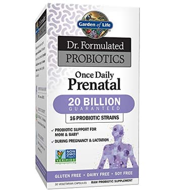 Garden of Life Dr. Formulated Probiotics Once Daily Prenatal - 20 Billion CFU - Dietary Supplement for Mom & Baby - 30 Vegetarian Capsules