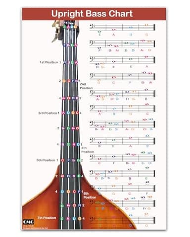 QMG Upright Bass Fingering Chart with Color-Coded Notes, Double Bass Chart Suitable for All Levels, Laminated, Size 11” x 17”