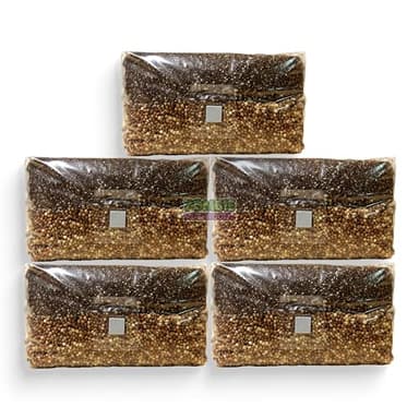 All‑in‑One Mushroom Grow Bag Kit – Sterilized Grain & CVG Substrate with Self‑Healing Injection Port – Beginner‑Friendly Mushroom Growing Kit to Grow Mushrooms at Home, 5 lb Mega Bag (5 Bags)