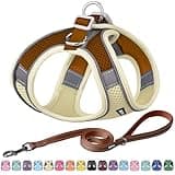 AIITLE Step in Dog Harness and Leash Set - Spring No Pull Escape Proof Vest Harnesses with Soft Mesh and Reflective Bands, Adjustable Pet Outdoor Harnesses for Small and Medium Dogs Beige M