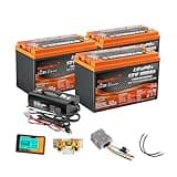 Enjoybot 36V 100Ah LiFePO4 Lithium Golf Cart Battery Conversion Kit - 3 X 12V 100Ah Group 31 LiFePO4 Battery, Built-in 100A BMS with Low Temperature Cut-Off Function, Peak current of 350A