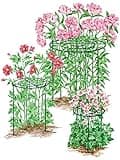 Gardener's Supply Company Grow Through Plant Support | Sturdy Metal Plants Support Frame for Peonies and Other Flopping Flowers | 30" H X 24" D (Set of 3) - Large