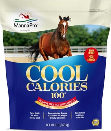 Manna Pro Cool Calories 100 – High-Calorie Dry Fat Supplement for Horses – Supports Healthy Weight Gain, Body Condition, and Performance – Equine Weight Gain Formula – 8 lb Bag