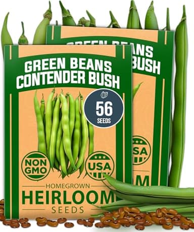 HOME GROWN Contender Bush Seeds - 56 Non GMO Heirloom Green Beans for Planting - Emergency Food Supply (Phaseolus vulgaris)