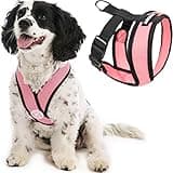 Gooby Comfort X Head in Harness - Pink, Small Harness Patented Choke-Free X Frame - Perfect on The Go Harness for Medium Dogs No Pull or Small Dogs for Indoor and Outdoor Use