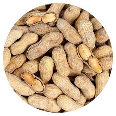 Peanuts In Shell Roasted and Salted, 2 Pound Bag, The Hampton Popcorn & Candy Company