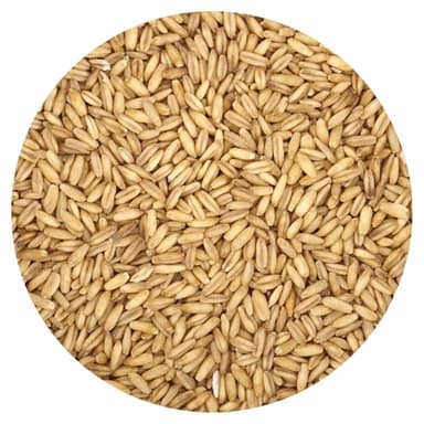 Whole Oat Groats, 2 Pound Bulk Bag, Oatmeal, Breakfast, Hampton Distribution