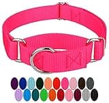 Country Brook Petz Martingale Dog Collar - Heavy-Duty Training Collar with No Buckle - Service Dog Collar for All Pups - Vibrant, Colorful Collection (Hot Pink, 1 Inch, Medium)