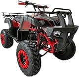 HHH 200cc ATV Quad Full Size ATV Full Big Size ATV for Adults Youth LED Lights Matching Rims and Automatic with Reverse (RED)
