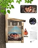 KinetCam Bird House with Camera Smart Bird House Camera for Small Birds Nesting, 2K HD Wi-Fi Bird Watching, Auto Detect&Notify, Night Vision, APP Control, Wooden Birdhouse with Cam Inside (Plug-in)