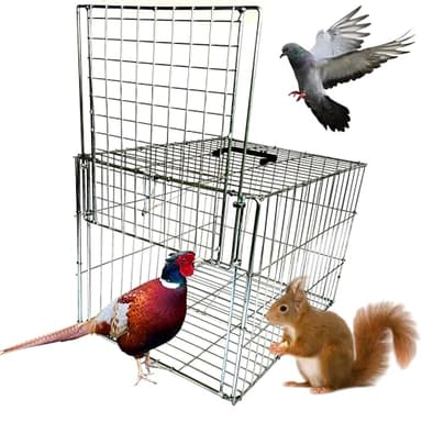DSQSTMR Animal Trap Cage Pigeon Chicken Squirrel Chipmunk Outside Trapping Live Small Animal Bird Trap Cage